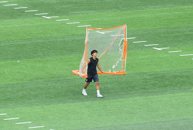 更多精彩纷